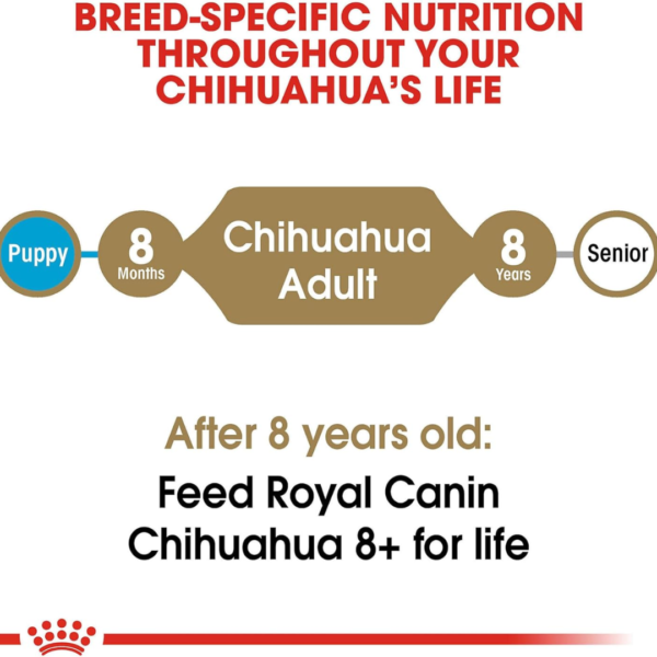 Royal Canin Chihuahua Adult Dry Dog Food, 10 lb bag - Image 6